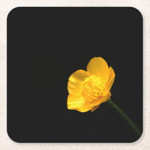 Buttercup Flower coastercnm Square Paper Coaster
