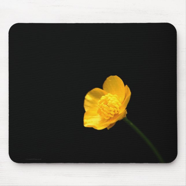 Buttercup Flower mpcnm Mouse Pad (Front)