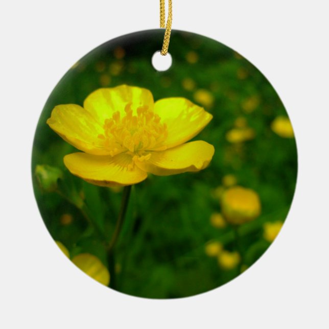 Buttercup Ornament Flowers Christmas Decoration (Front)