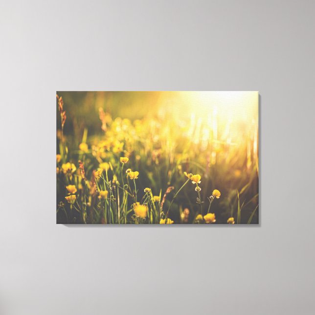 Buttercup Sundown Canvas Print (Front)