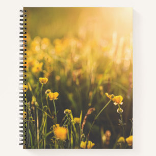 Buttercup Sundown Notebook