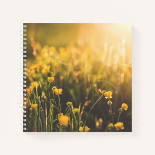 Buttercup Sundown Notebook