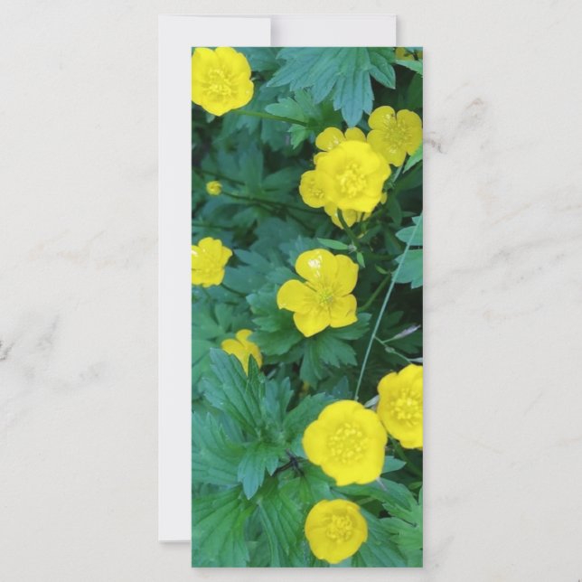 Buttercup Themed RAK Card (Front)