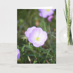 Buttercups Card