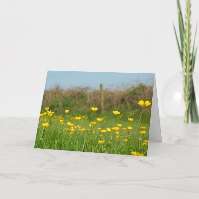 Buttercups Card (Front)