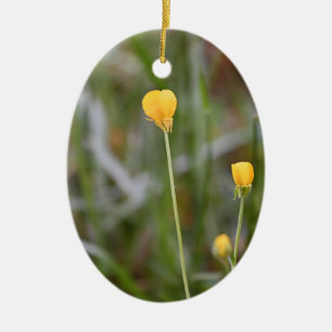 Buttercups Photo Ornament