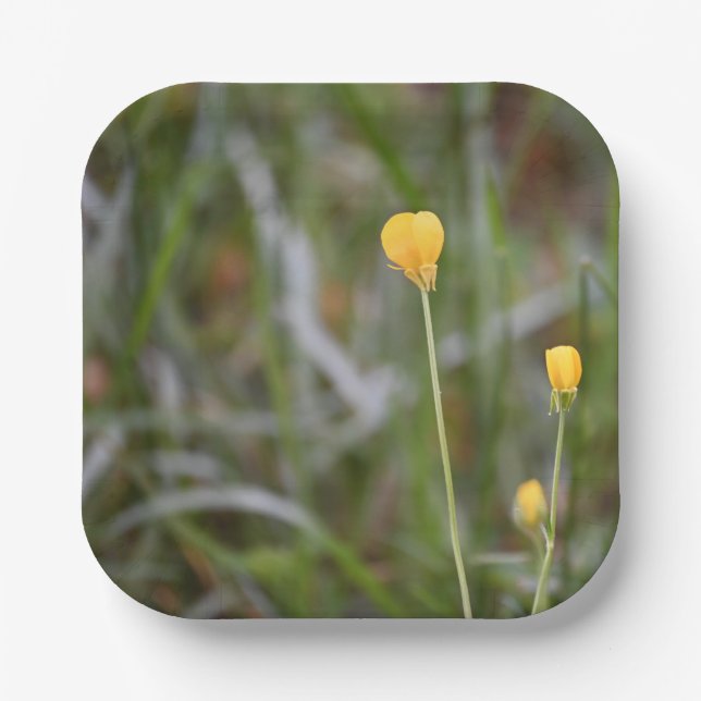 Buttercups Photo Paper Plates  (Front)