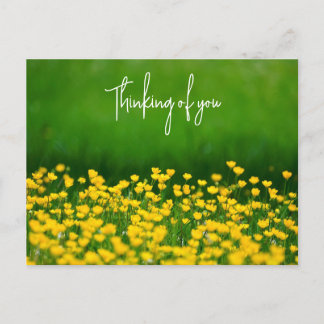 Buttercups | Thinking of you Postcard
