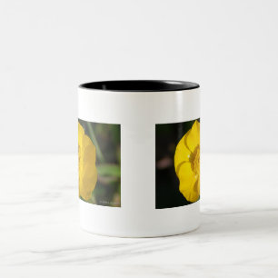 Buttercups Two-Tone Coffee Mug