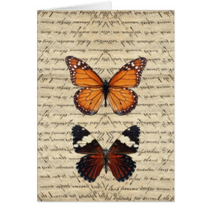 butterflies