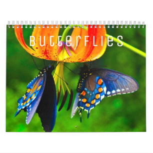 Butterflies [1] Wall Calendar