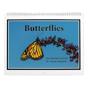 Butterflies 2016 Monthly Calendar By Tom Minutolo