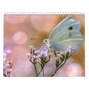 Butterflies 2017 calendar