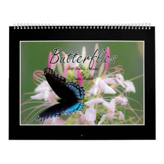 Butterflies 2022 Calendar By Tom Minutolo