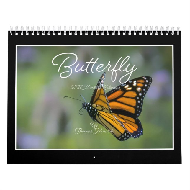 Butterflies 2023 Calendar By Tom Minutolo (Cover)