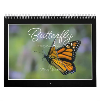 Butterflies 2023 Calendar By Tom Minutolo