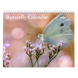 Butterflies 2024 calendar