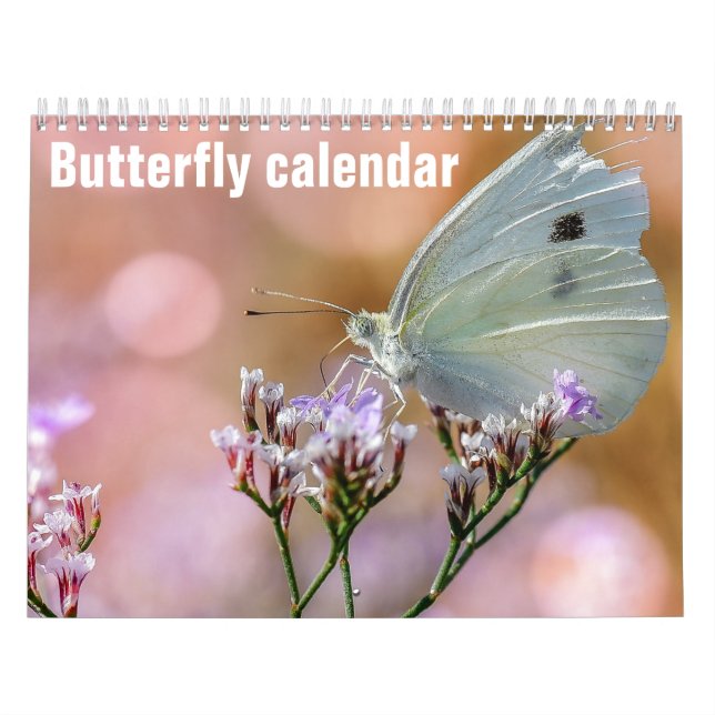 Butterflies 2025 calendar (Cover)
