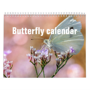 Butterflies 2026 calendar