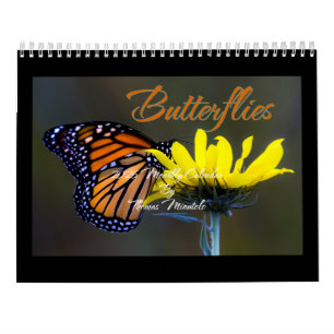 Butterflies 2026 Calendar By Tom Minutolo