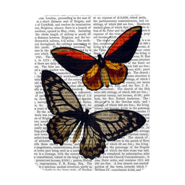 Butterflies 3 magnet (Vertical)