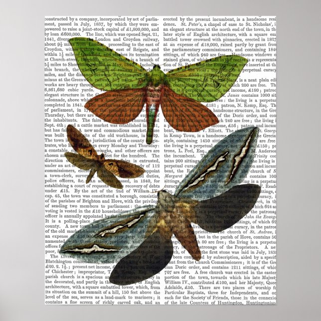 Butterflies 4 poster (Front)