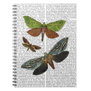 Butterflies 4 spiral notebook