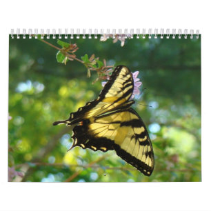 Butterflies and Flowers Calendar