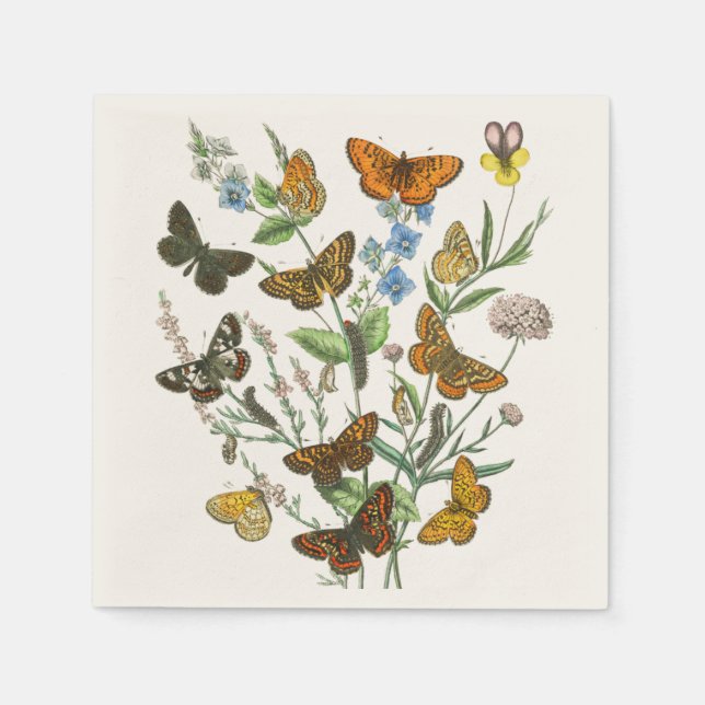 Butterflies and Flowers Vintage Illustration 1 Napkin (Front)