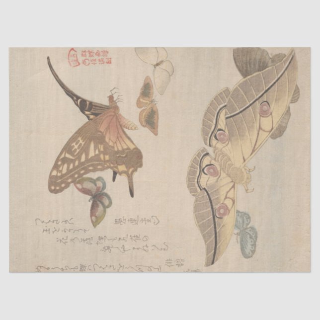 Butterflies and Moths by Kubo Shunman Tissue Paper (Front)