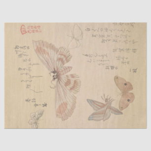 Butterflies and Moths by Kubo Shunman Tissue Paper