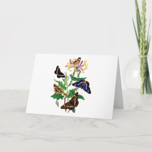 Butterflies and Red Honeysuckle Card (Front)