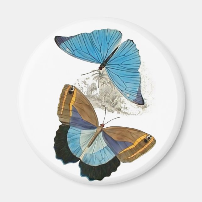 Butterflies - Blue Magnet (Front)