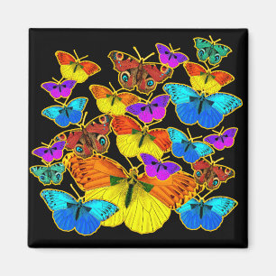 Butterflies! Butterflies! Magnet