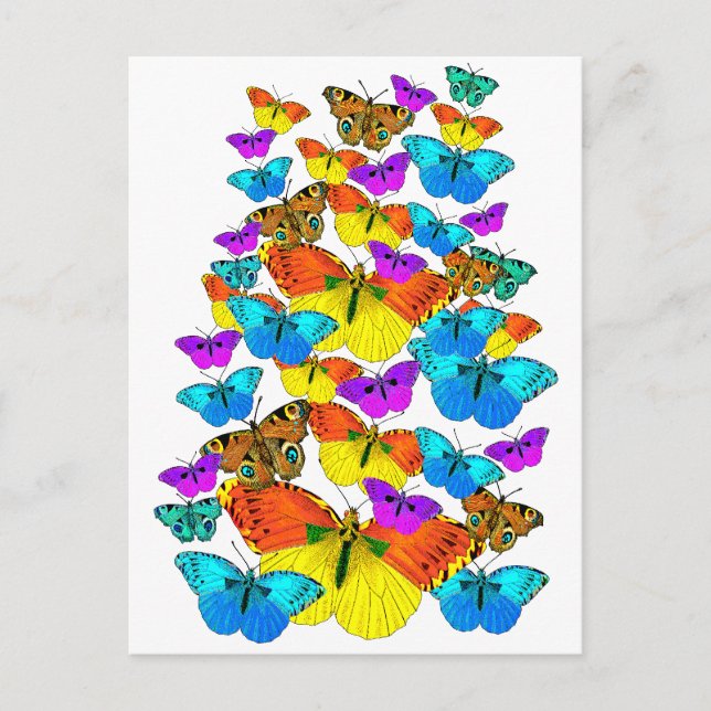 Butterflies! Butterflies!  Postcard (Front)