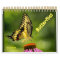 Butterflies Calendar