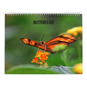 Butterflies Calendar