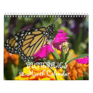 Butterflies  calendar