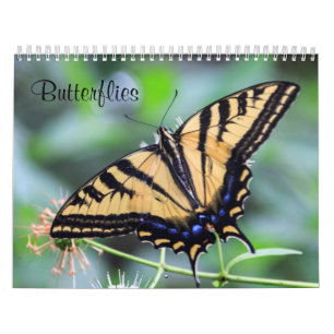 Butterflies Calendar