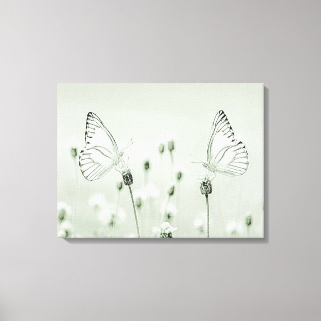 Butterflies Canvas Print (Front)