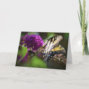 Butterflies, card