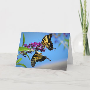 Butterflies, card