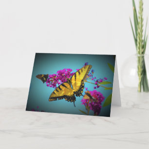 Butterflies, card