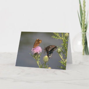Butterflies Card