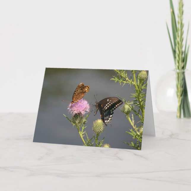 Butterflies Card (Front)