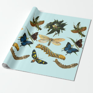 Butterflies Caterpillars Bugs Insects Nature Art Wrapping Paper