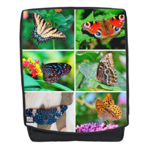 Butterflies Collage Peacock Blue Tiger Buckeye Backpack