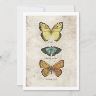 Butterflies collection invitation