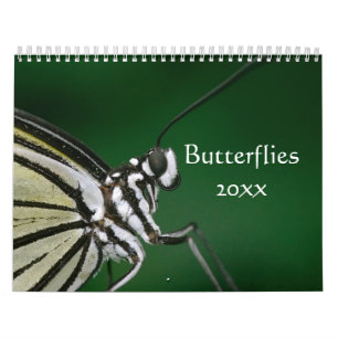 Butterflies Customisable Calendar