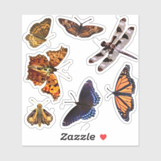 butterflies/dragonfly stickers